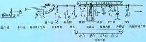 牛的屠宰工藝示意圖